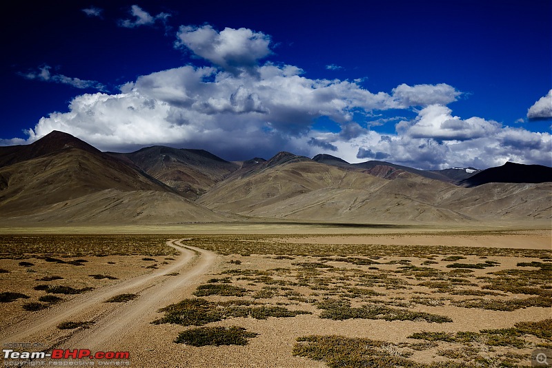 Altitude - The PhotoLog. Ladakh, the wilder one-20160825dsc01347x3.jpg