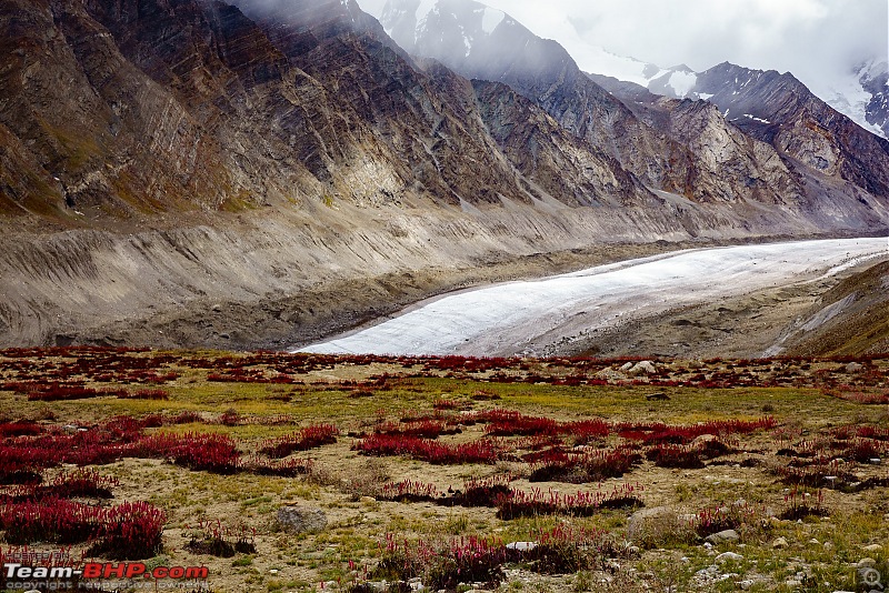 Altitude - The PhotoLog. Ladakh, the wilder one-20160828dsc02163x3.jpg