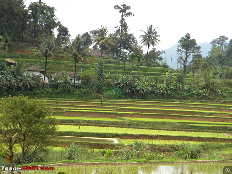 Mangalore-Kuduremukha-Kalasa- Horanadu-dscn0163.jpg