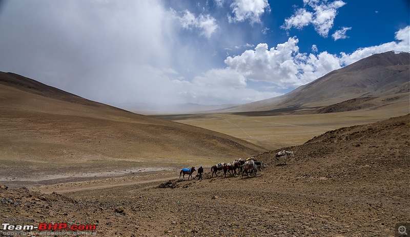 Altitude - The PhotoLog. Ladakh, the wilder one-20160830dsc02586x3.jpg