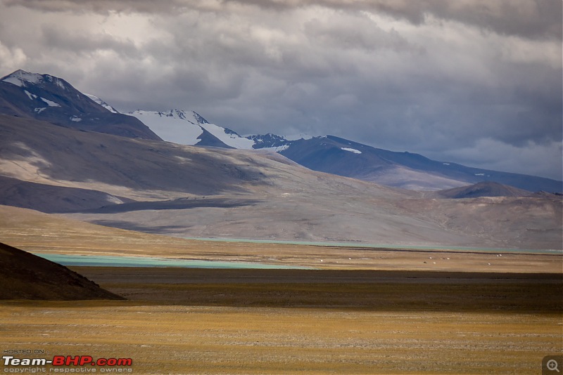 Altitude - The PhotoLog. Ladakh, the wilder one-20160830dsc02792x3.jpg