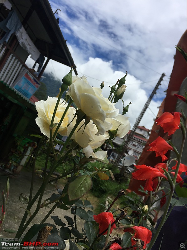 Tripping in Sikkim : Travel Diary of a Solo Woman Traveler-img_7702.jpg