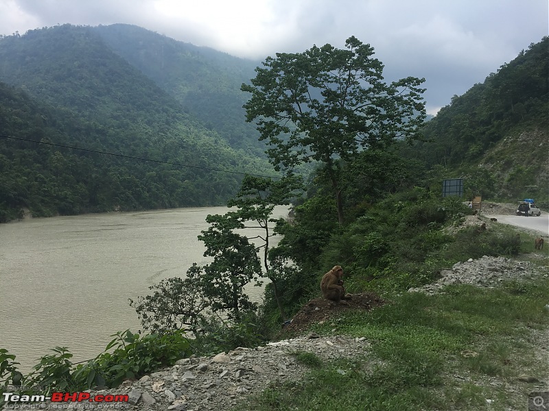 Tripping in Sikkim : Travel Diary of a Solo Woman Traveler-img_7647.jpg