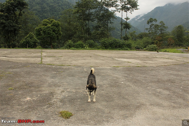 Tripping in Sikkim : Travel Diary of a Solo Woman Traveler-img_0706.jpg