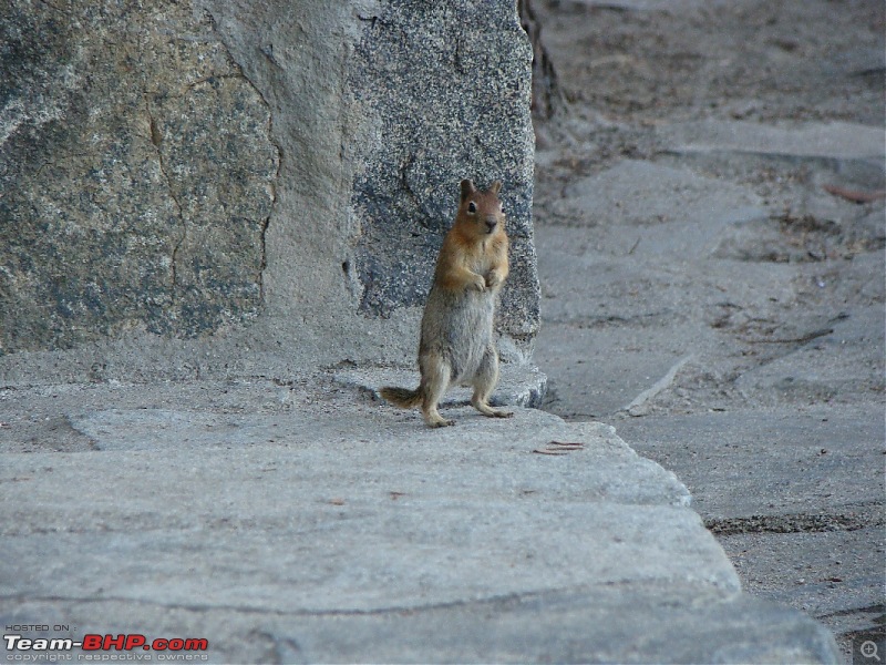 Summer Photologue - South Lake Tahoe-dsc02747.jpg