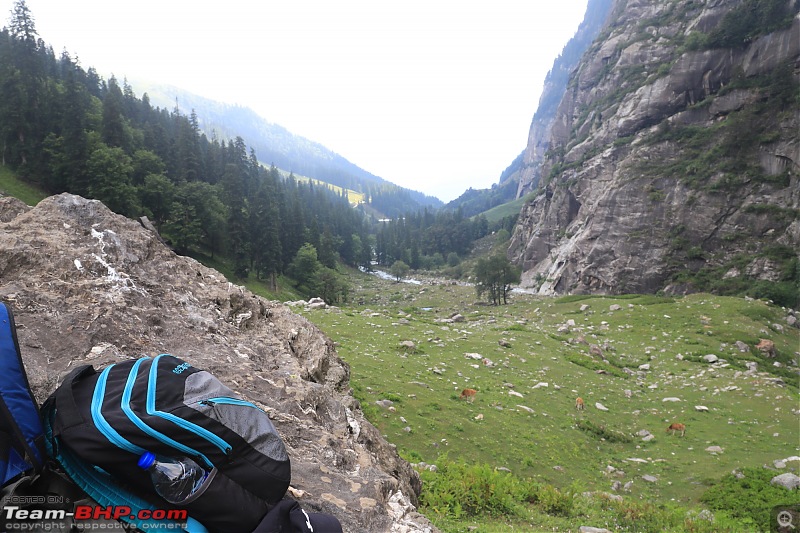 A Himalayan Odyssey: Trek to Hampta Pass-015-looking-back-drop-point.jpg