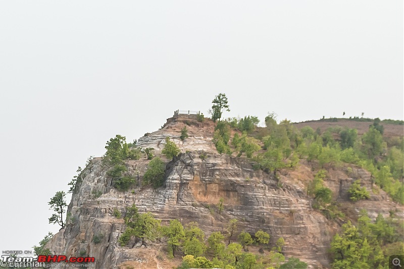 Tiger by the t(r)ail: Pench & Tadoba National Parks-6.jpg