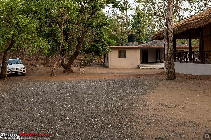 Tiger by the t(r)ail: Pench & Tadoba National Parks-12.jpg