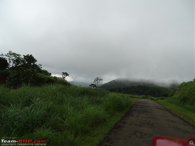 Cochin Diaries: The misty hills of Vagamon-dsc01654.jpg