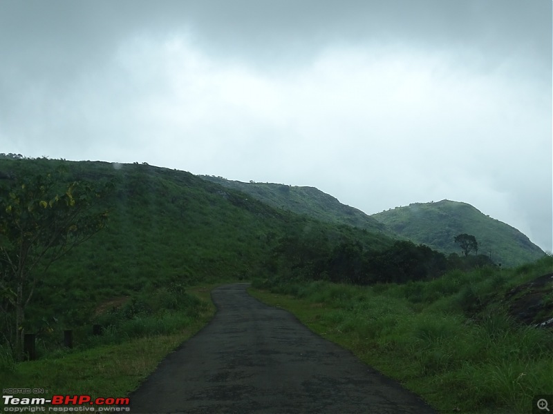 Cochin Diaries: The misty hills of Vagamon-dsc01661.jpg