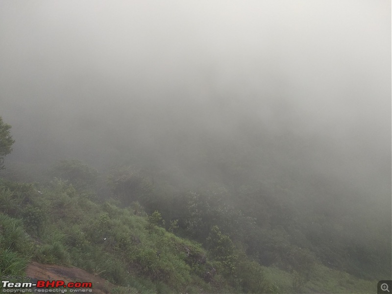 Cochin Diaries: The misty hills of Vagamon-img_20180623_153918.jpg