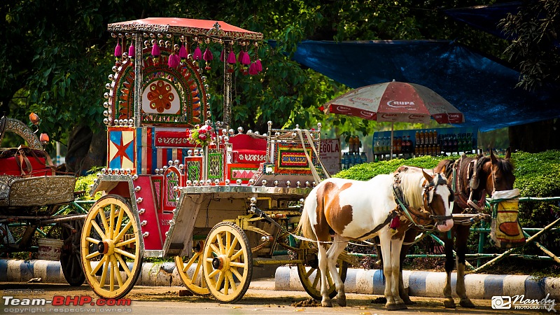 Amazingly magnificent & enchantingly awesome North East India - A 10,000 km Ride!-dsc_3563.jpg