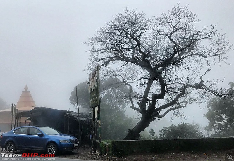 European beauties exploring Indian terrain: Our Monsoon Konkan Drive, 2018-whatsapp-image-20180730-10.51.57-pm.jpeg