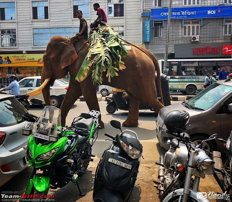 Amazingly magnificent & enchantingly awesome North East India - A 10,000 km Ride!-212.jpg