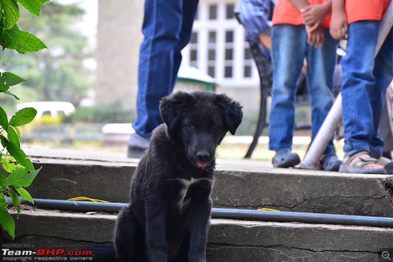 Kinnaur & Spiti: Journey of a Lifetime-dsc_0082.jpg