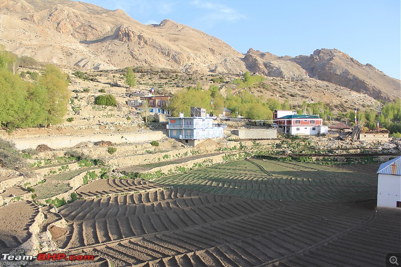 Kinnaur & Spiti: Journey of a Lifetime-img_1110.jpg