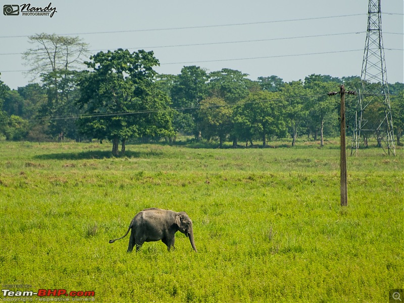 Amazingly magnificent & enchantingly awesome North East India - A 10,000 km Ride!-dsc_3897.jpg