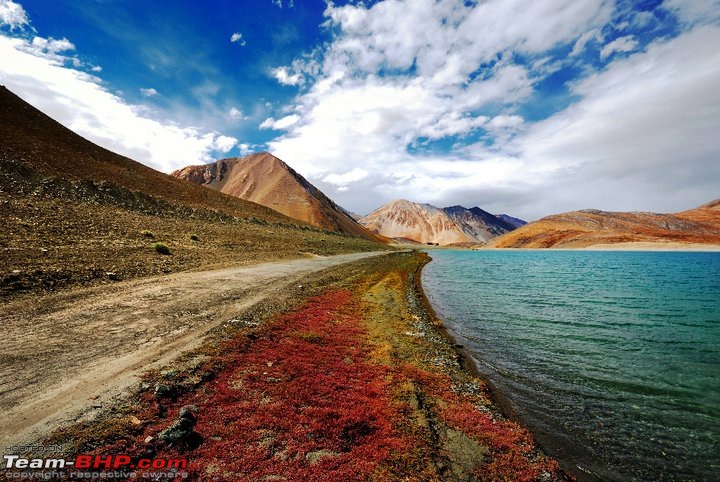 A week in Ladakh-271143_10150380921894502_1975410_n.jpg
