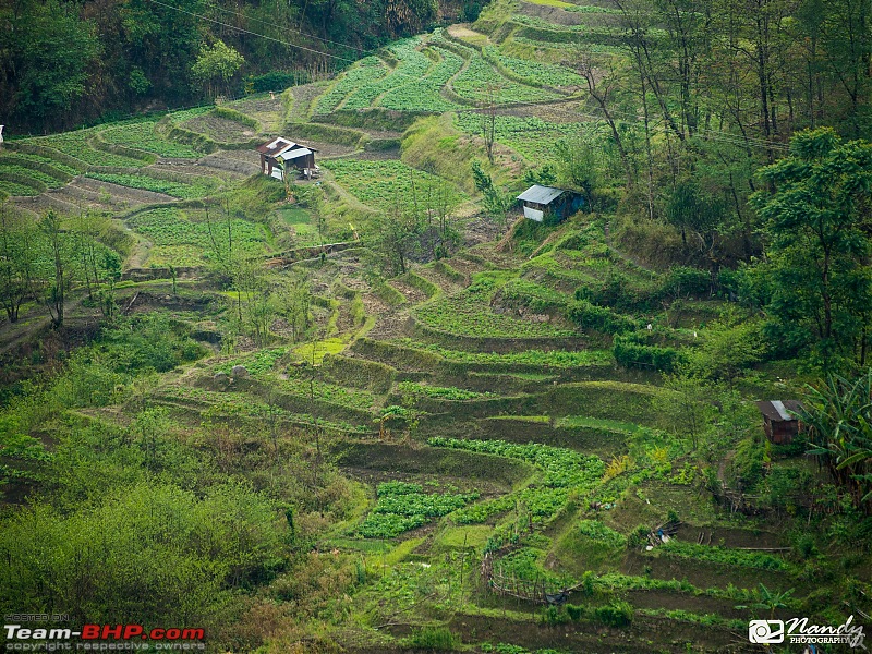 Amazingly magnificent & enchantingly awesome North East India - A 10,000 km Ride!-dsc_4004.jpg