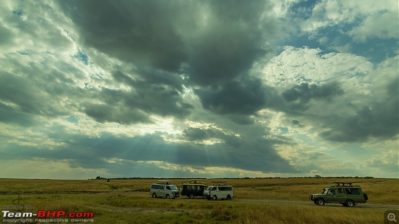 Masai Mara - A magical week in wildlife heaven-tbhp01005-mm3670.jpg