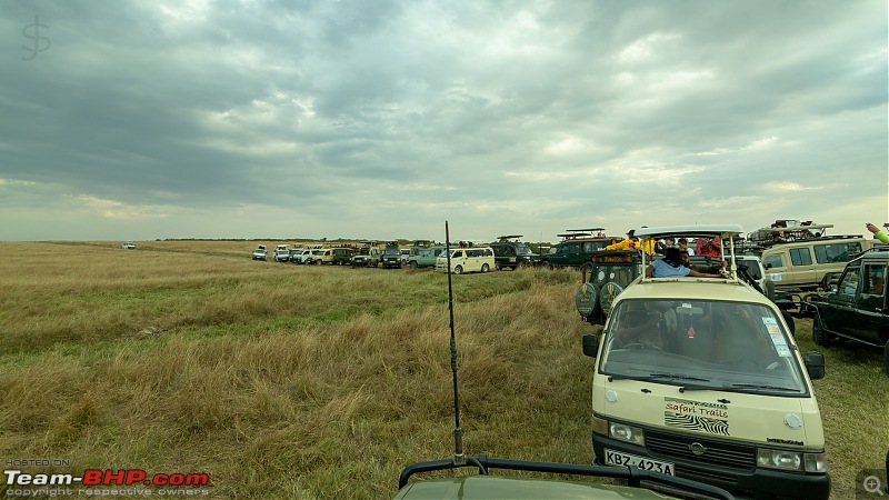 Masai Mara - A magical week in wildlife heaven-tbhp01006-mm3677.jpg