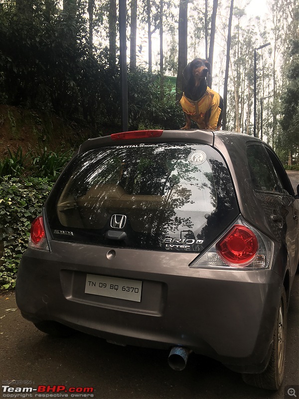 Ooty in a Honda Brio - The queen of the hills beckons-img_5751.jpg