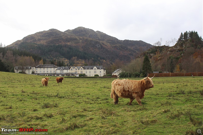 Road-Trip: 8 wintry days in snasail Scotland-img_8670-1.jpg