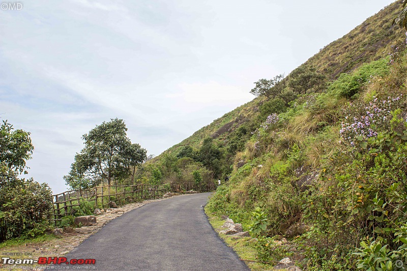 Munnar 2018: Neelakurinji, a flower that blooms once in 12 years-img_5843.jpg