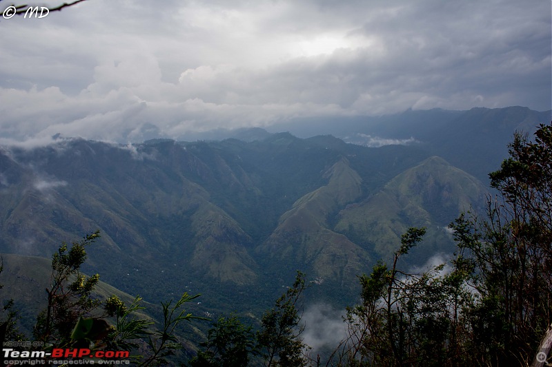 Munnar 2018: Neelakurinji, a flower that blooms once in 12 years-img_6273.jpg