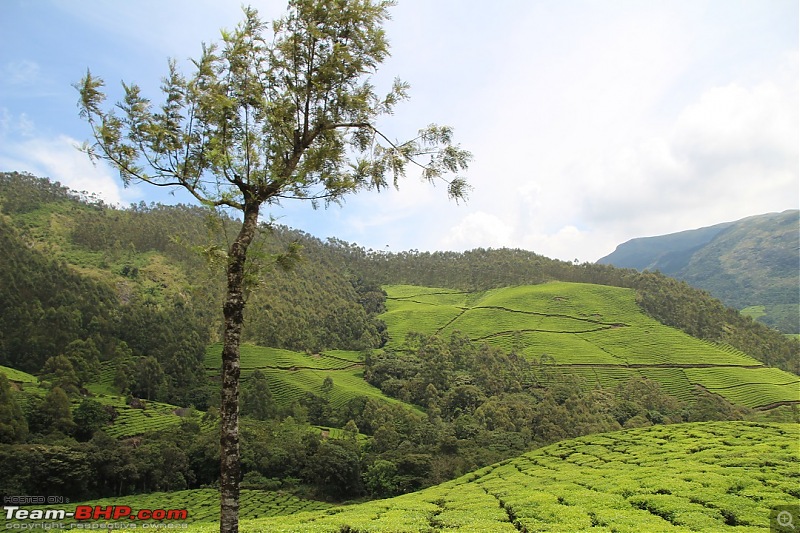 A 3.6 year old in God's own country - Kerala!-34.jpg