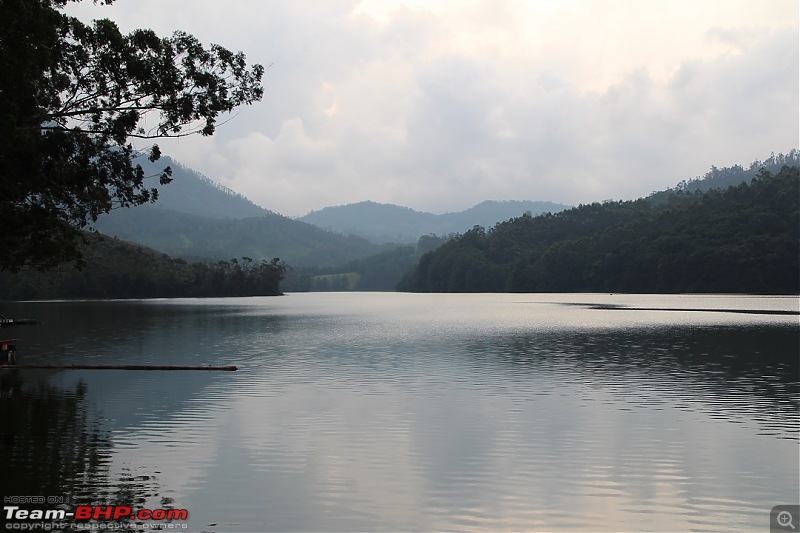 A 3.6 year old in God's own country - Kerala!-65.jpg