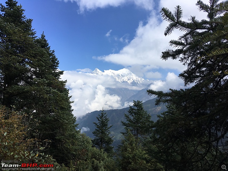 Wanderings in the Himalayas : Trek to Gosaikunda-day-5-lantang-lirung-cholanpati.jpg