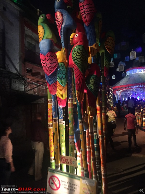 Durga Puja Diaries : A guide to the city with a soul, Kolkata-jungle.jpg
