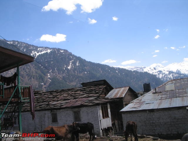 A Himalayan Sojourn:Hyd-Del-Shimla-Manali-D'sala-Wagah-Amritsar-Agra-Delhi-Hyd-img_2338.jpg