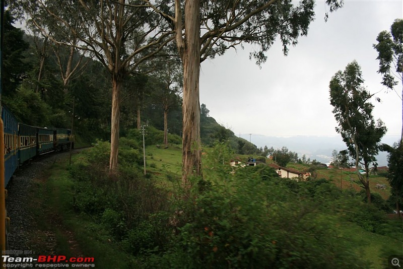 Ooty - my first on MY LINEA, probably the first LINEA TO CLIMB famous 36 hairpin bent-coonor-18.jpg