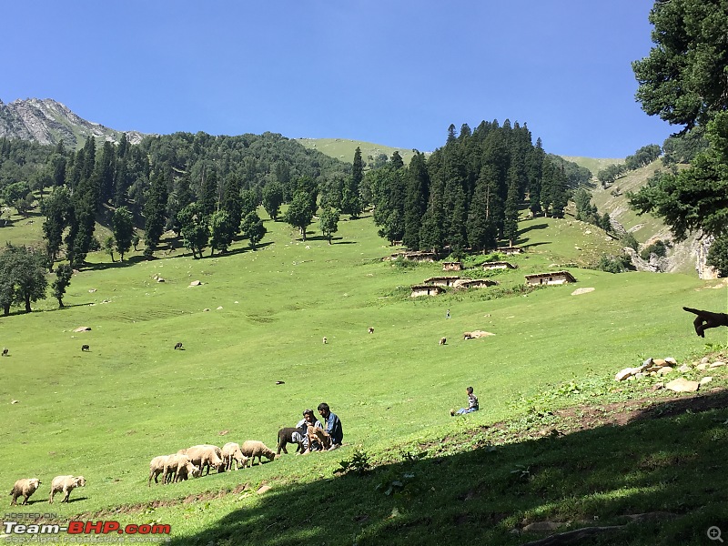 Kashmir Great Lakes Trek-10.jpg