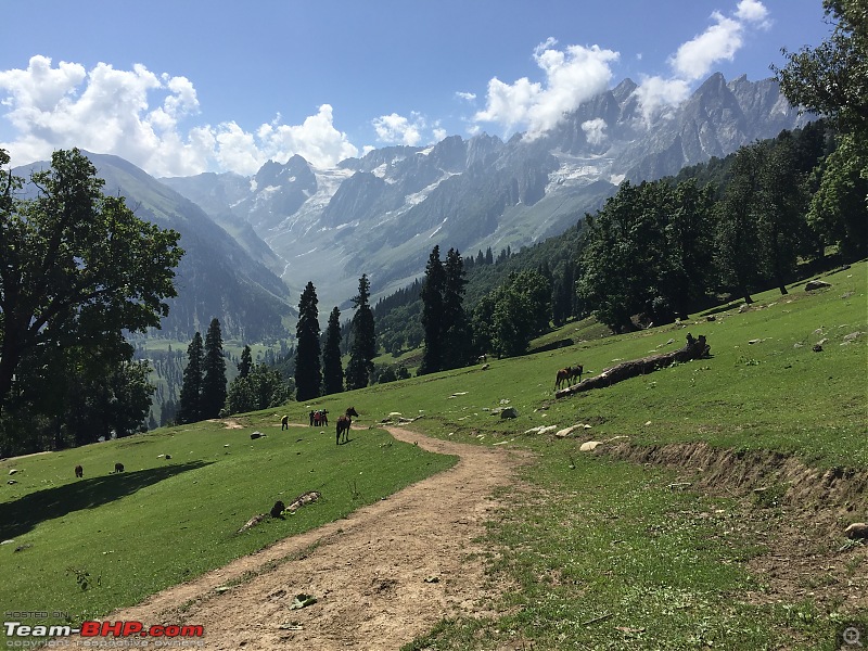 Kashmir Great Lakes Trek-11.jpg