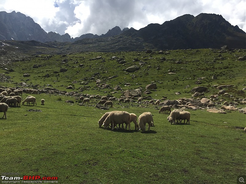 Kashmir Great Lakes Trek-21.jpg