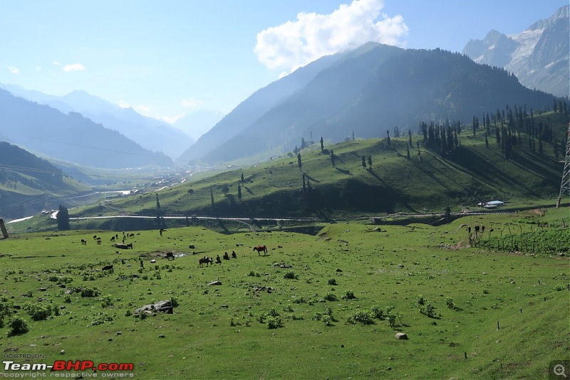 Kashmir Great Lakes Trek-5.jpg