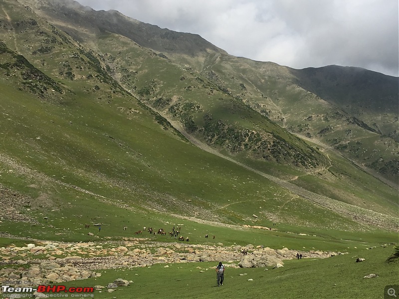 Kashmir Great Lakes Trek-104.jpg