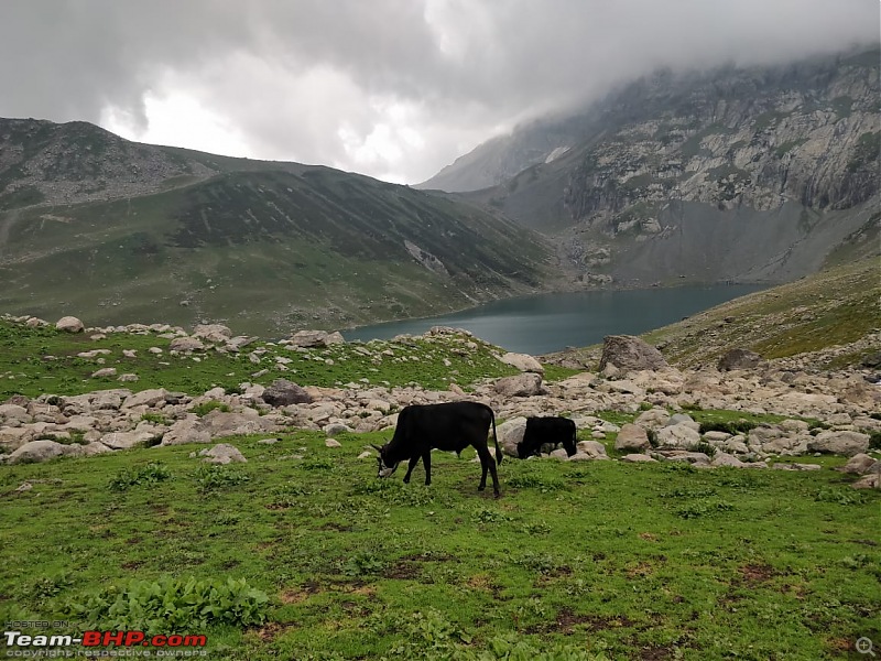 Kashmir Great Lakes Trek-134.jpg