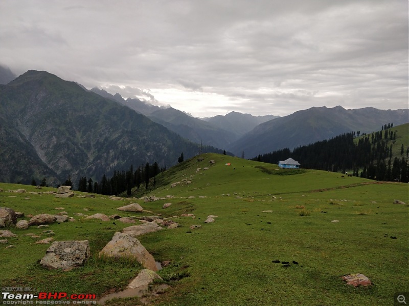 Kashmir Great Lakes Trek-140.jpg