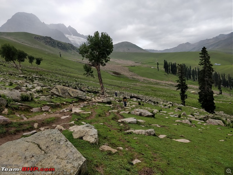 Kashmir Great Lakes Trek-145.jpg