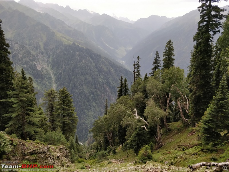 Kashmir Great Lakes Trek-146.jpg