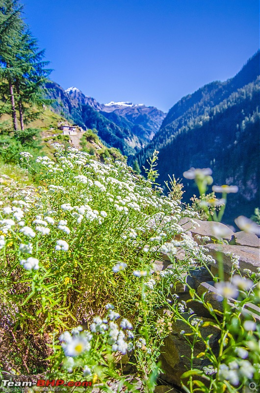 Crossing over the Rupin Pass-28_dsc6966.jpg