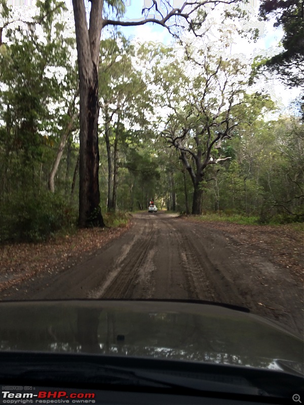 Exploring new frontiers : Trip to the Bribie Sand Island, off Brisbane-img_2817.jpg