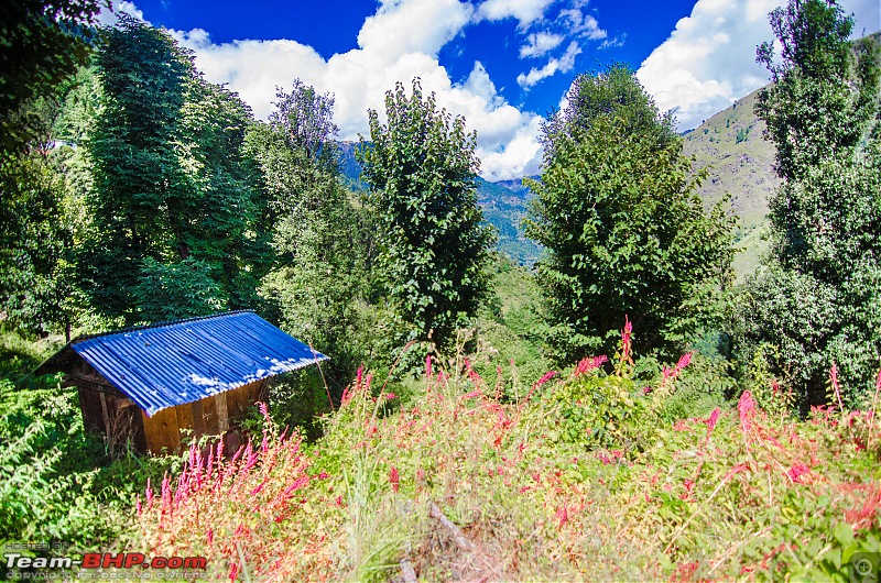 Crossing over the Rupin Pass-_dsc6914.jpg