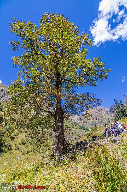 Crossing over the Rupin Pass-_dsc7066.jpg