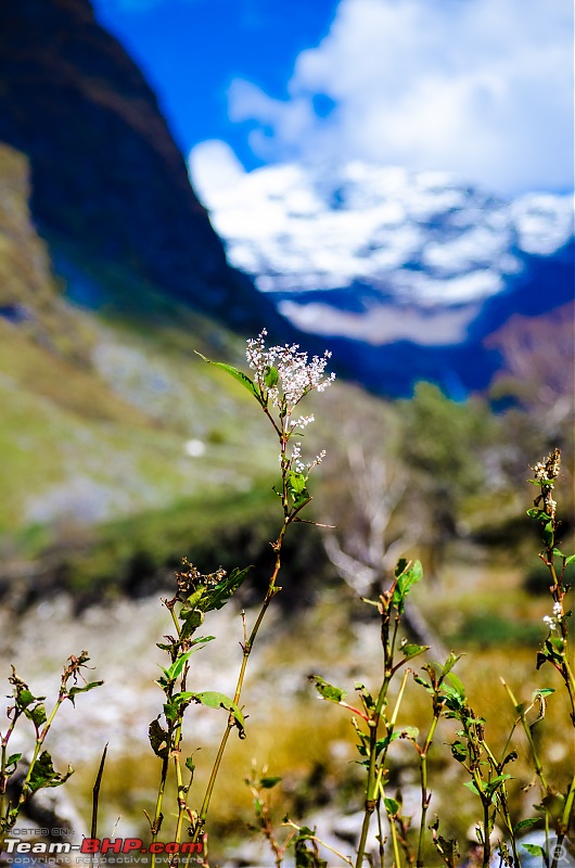 Crossing over the Rupin Pass-_dsc7080.jpg