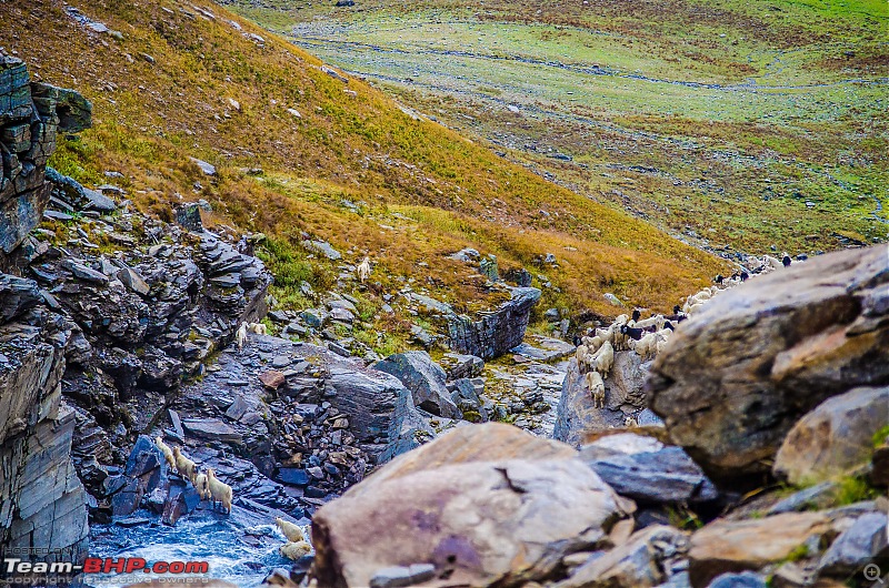 Crossing over the Rupin Pass-_dsc7217.jpg